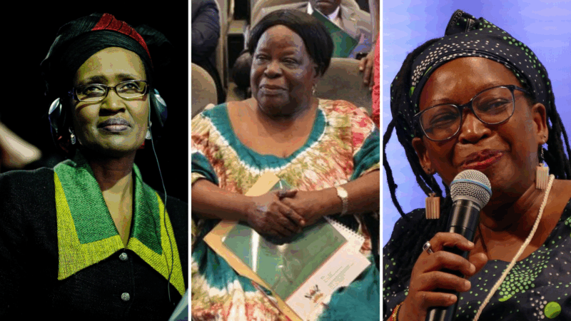 Left: Winnie Byanyimal. Image by COP PARIS, CC0 1.0. Middle: Joyce Mpanga. Image by U.S. Mission Uganda. CC0 1.0. Right: Stella Nyanzi. Image by Kritzolina, CC BY-SA 4.0. All via Wikimedia Commons.