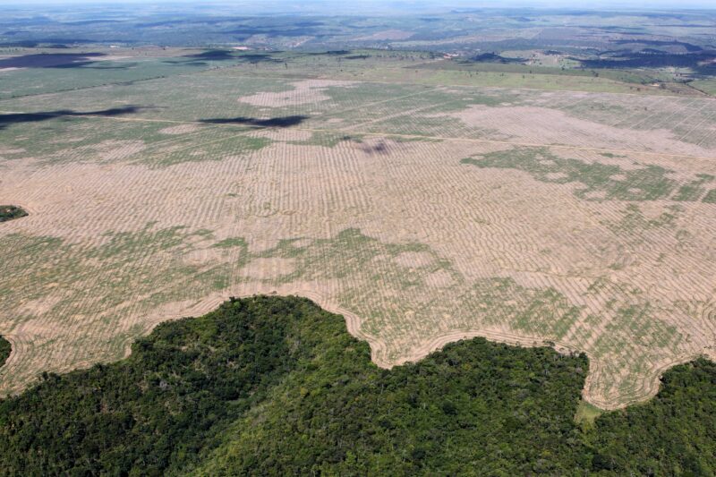 Deforestation in the Maranhão state of Brazil.